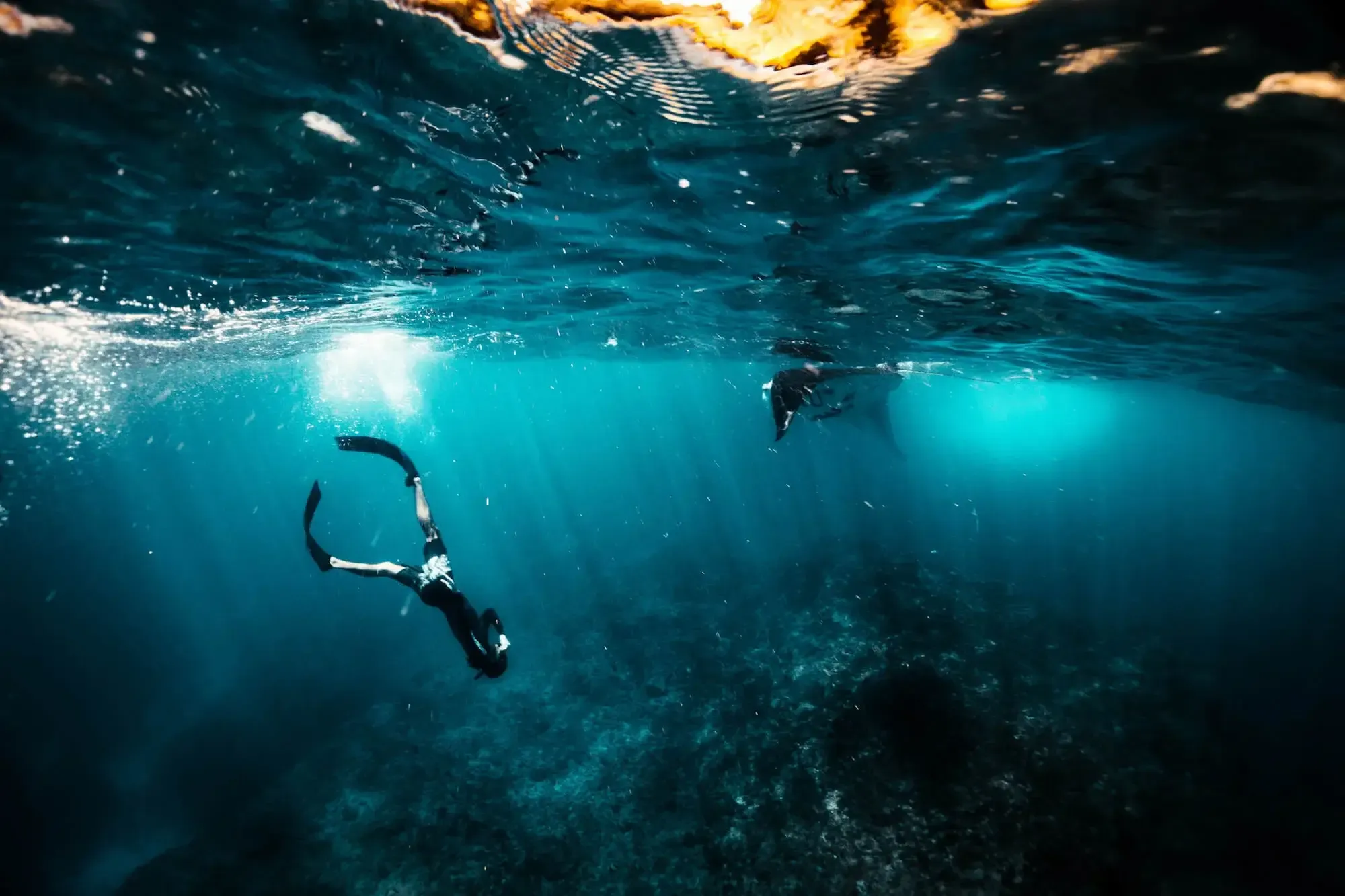Freediving training