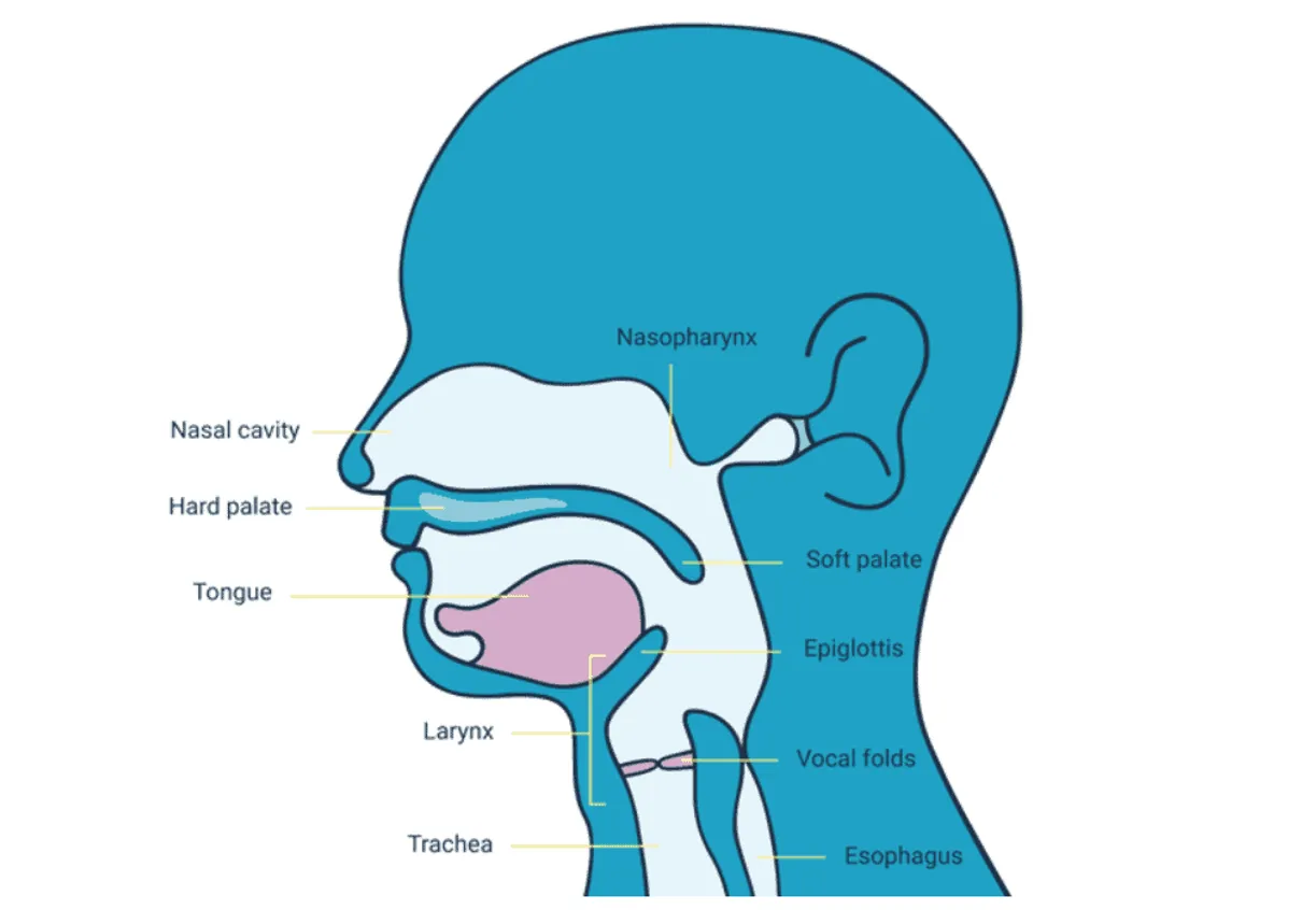 Kỹ thuật Frenzel: Chìa khóa để chinh phục độ sâu